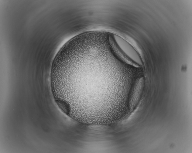 X0000091370863200708171544