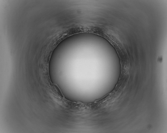 X0000091370865200708171543