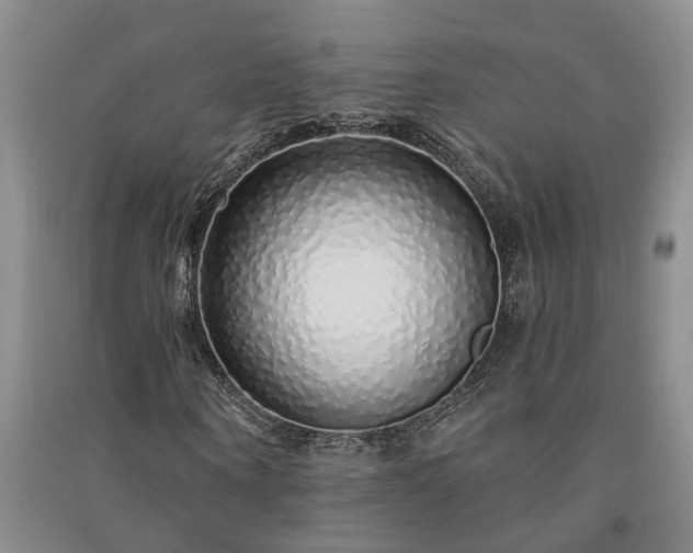 X0000091370866200708171543