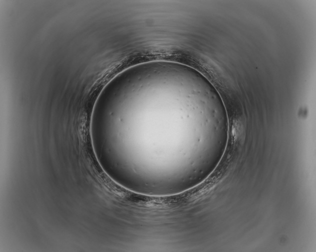 X0000091370867200708171543