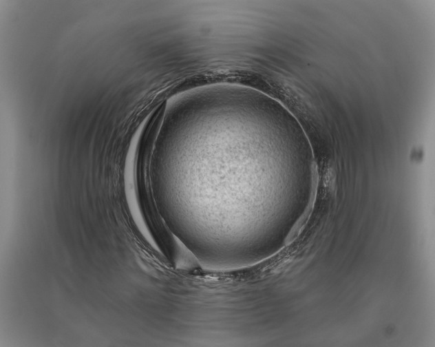 X0000091370868200708171543