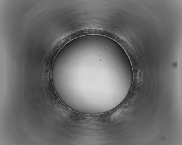 X0000091370870200708171543