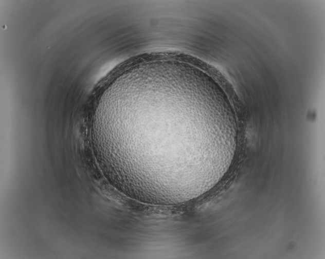 X0000091370871200708171543