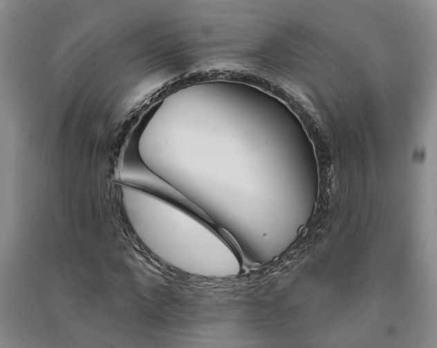 X0000091370872200708171543