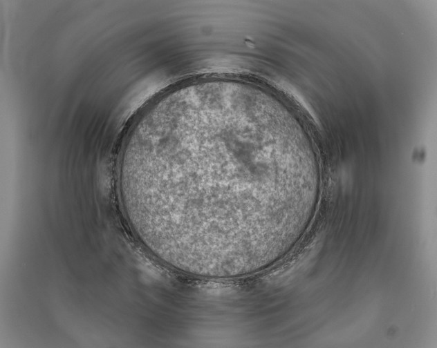 X0000091370874200708171543