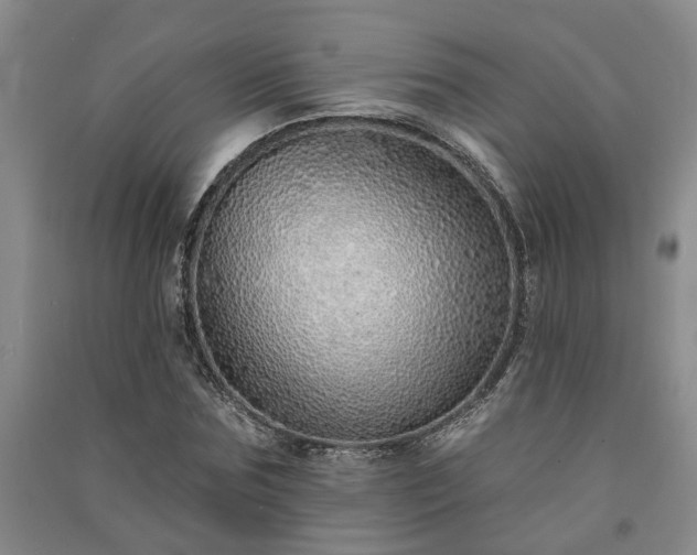 X0000091370875200708171543