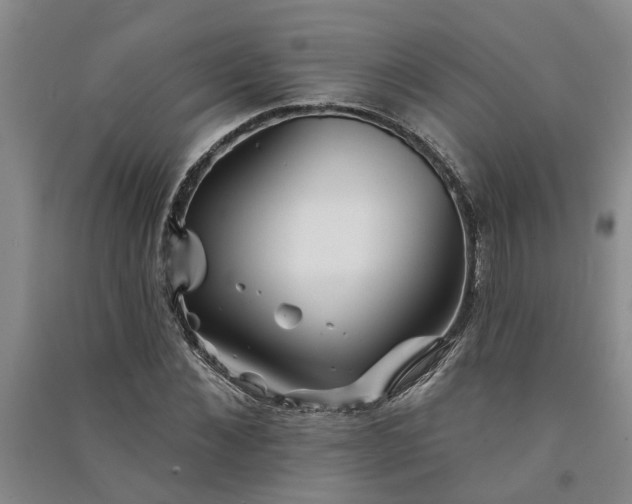 X0000091370876200708171542