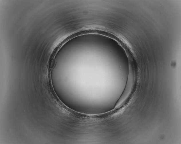 X0000091370877200708171542