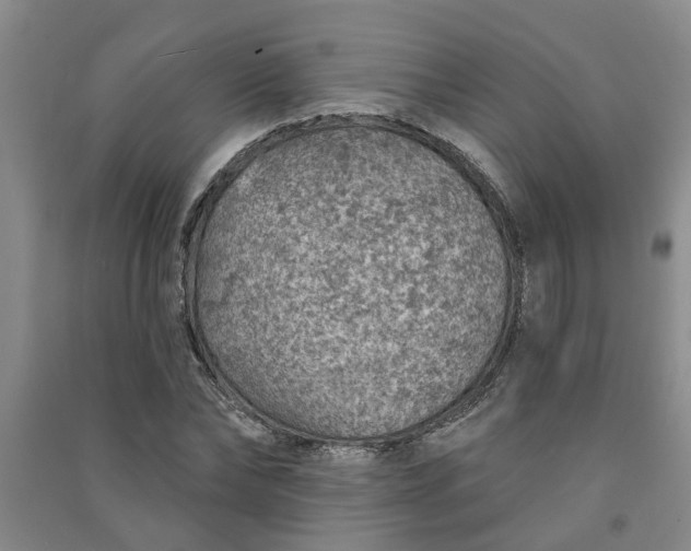 X0000091370878200708171542