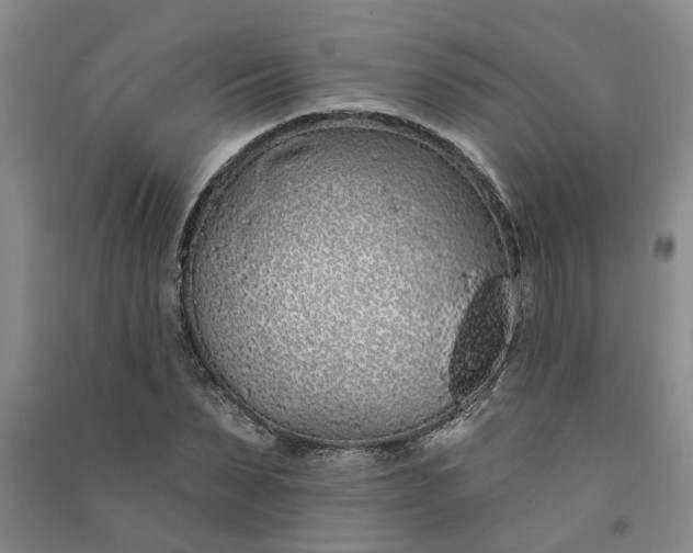 X0000091370879200708171542