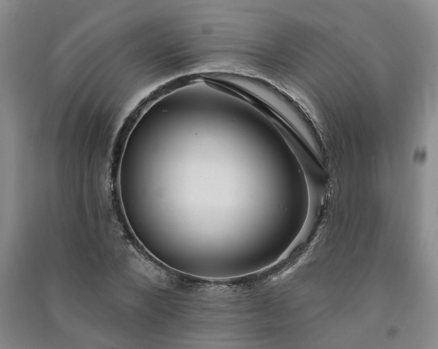 X0000091370880200708171542