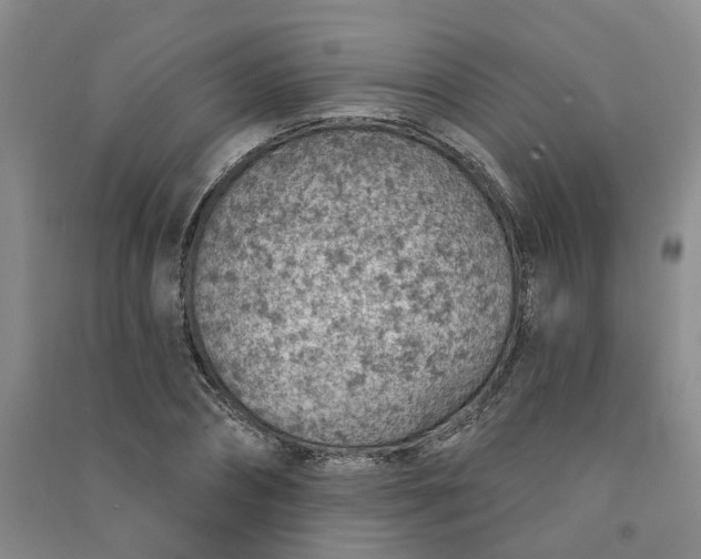 X0000091370882200708171542