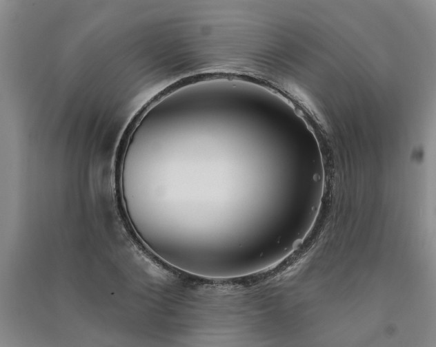 X0000091370884200708171542