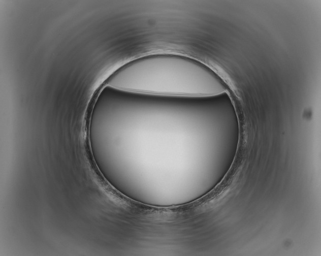 X0000091370885200708171542