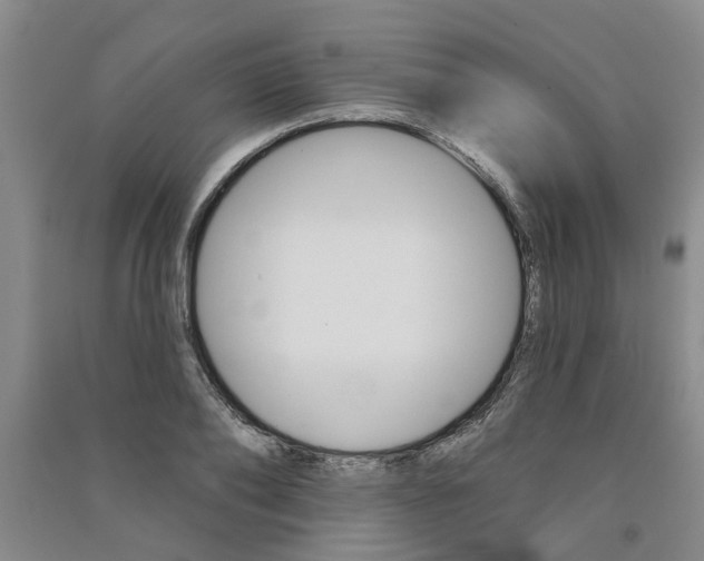 X0000091370886200708171542