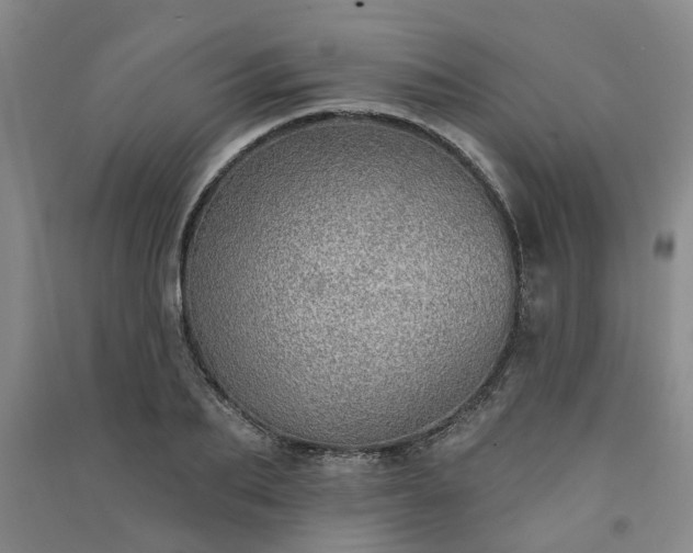 X0000091370887200708171542