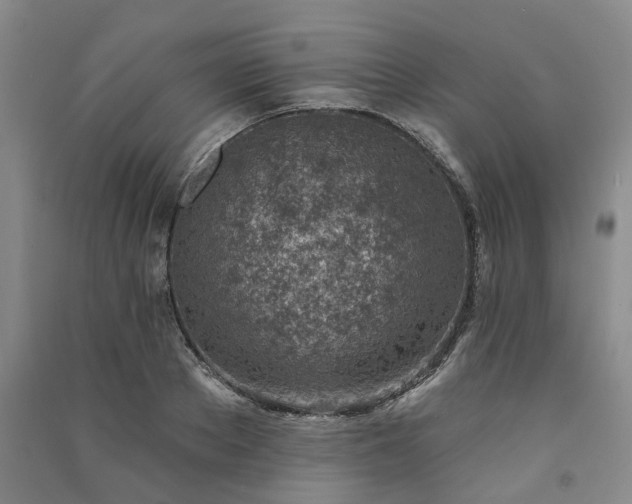 X0000091370889200708171542