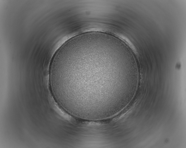 X0000091370890200708171542