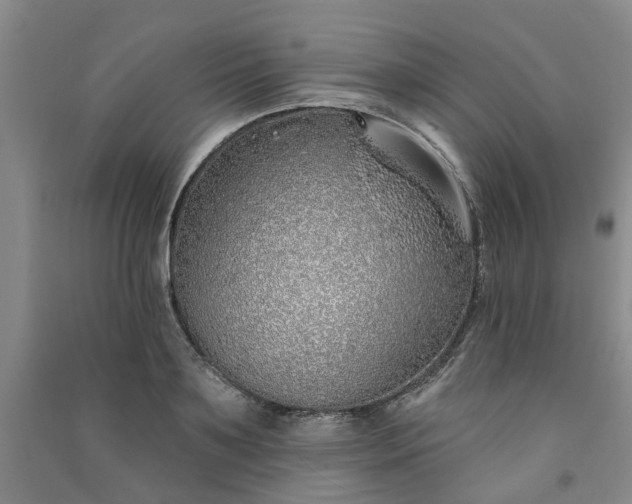 X0000091370891200708171542