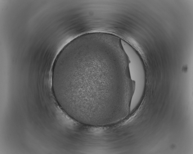 X0000091370892200708171542