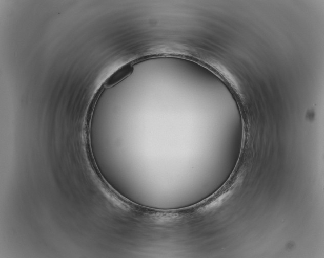 X0000091370893200708171542