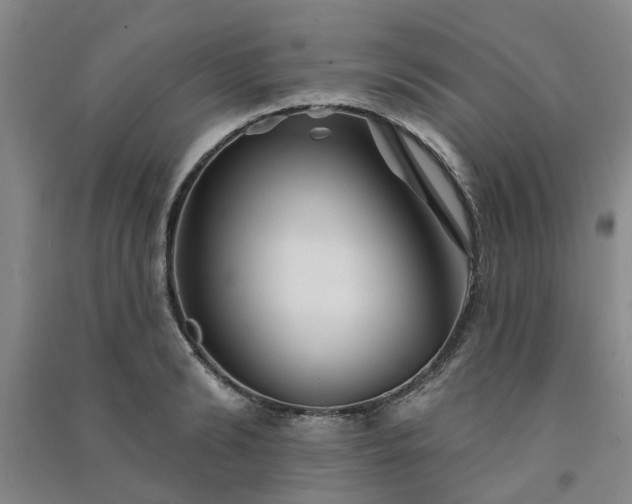 X0000091370894200708171542