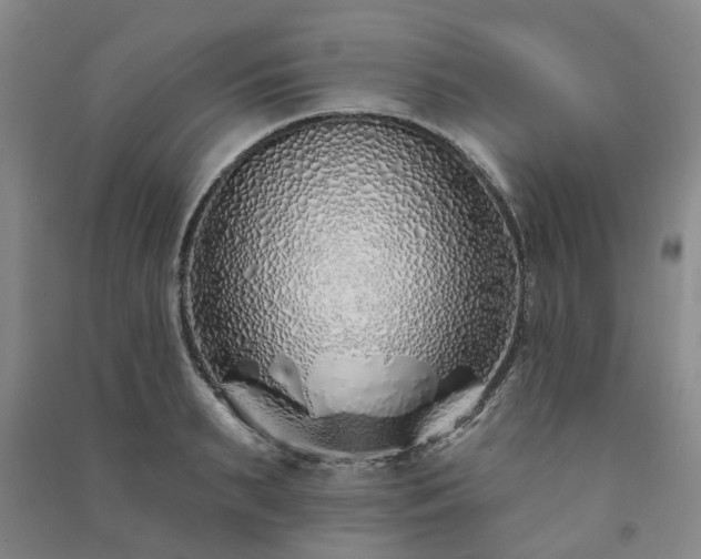 X0000091370895200708171542