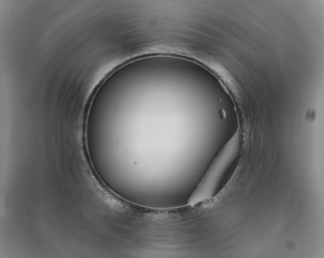 X0000091370896200708171542