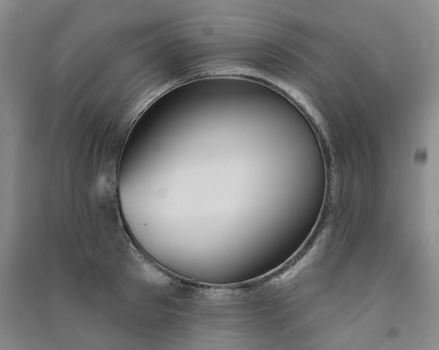 X0000091370897200708171542