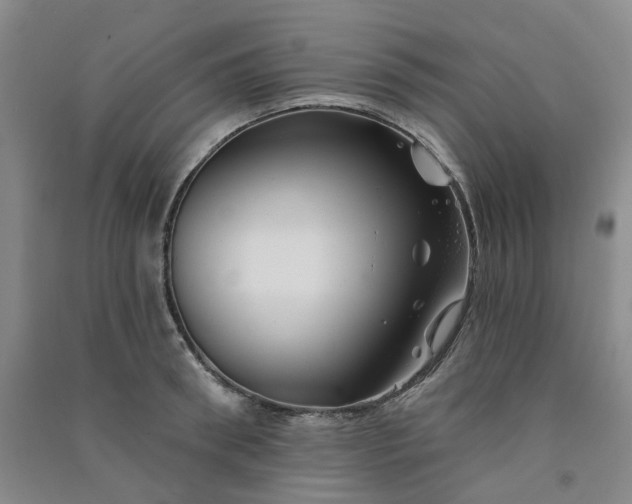 X0000091370898200708171542