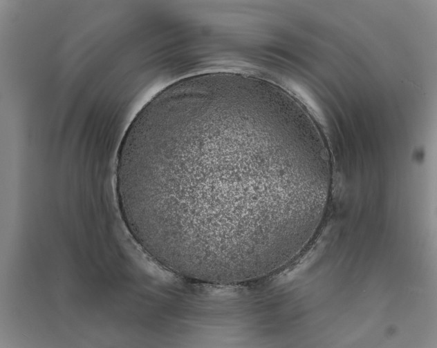 X0000091370899200708171542