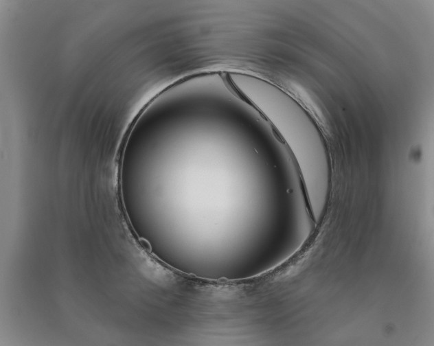 X0000091370900200708171542