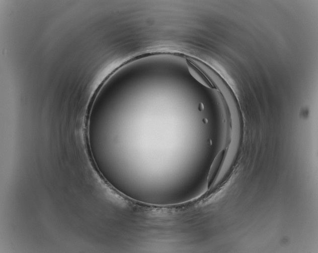 X0000091370901200708171542