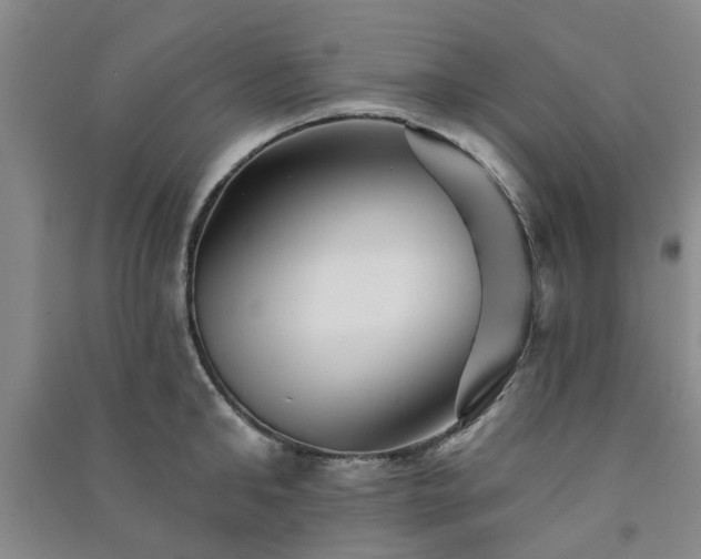 X0000091370902200708171542