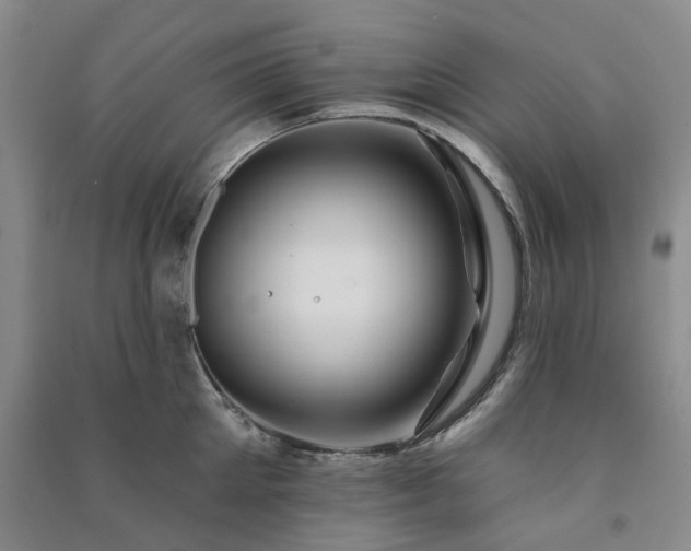 X0000091370905200708171542