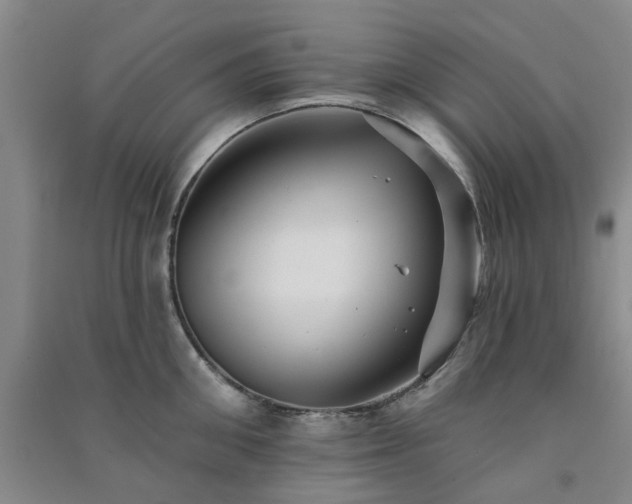 X0000091370906200708171542