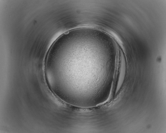 X0000091370907200708171542