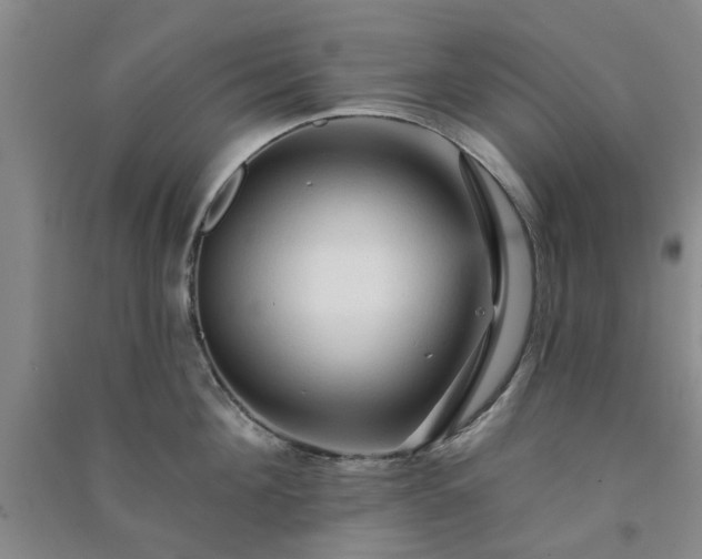 X0000091370908200708171542