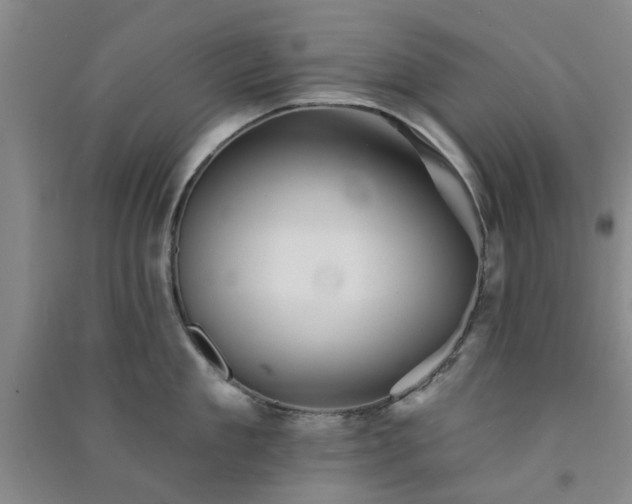 X0000091370909200708171542