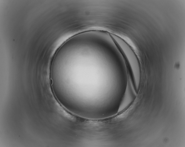 X0000091370910200708171542