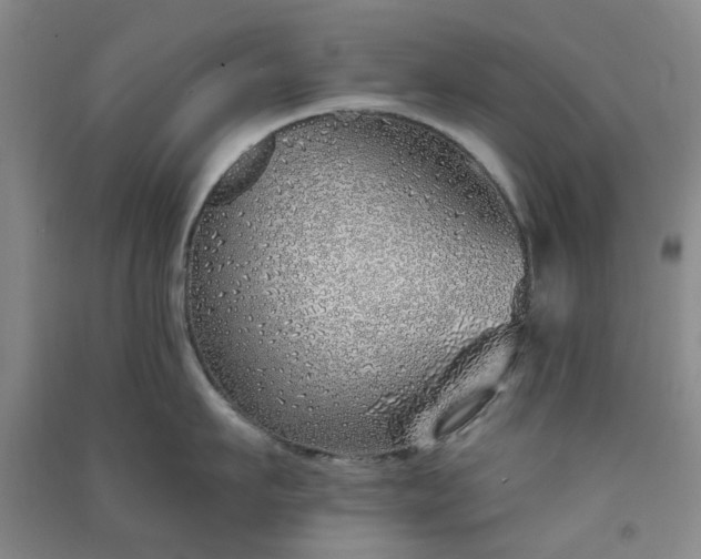 X0000091370911200708171542