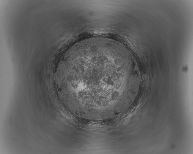 X0000091370913200708171541