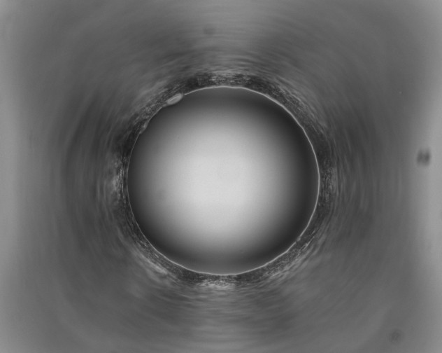 X0000091370914200708171541