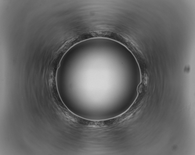 X0000091370915200708171541