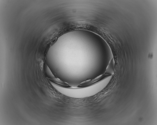 X0000091370916200708171541