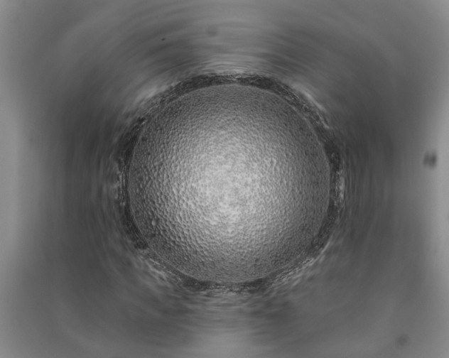 X0000091370917200708171541