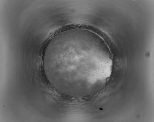 X0000091370918200708171541