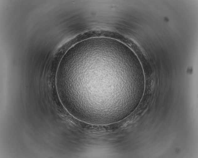 X0000091370919200708171542