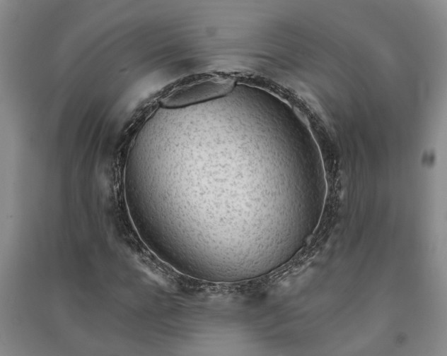 X0000091370920200708171542