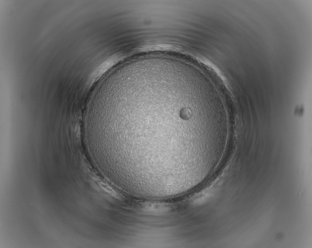 X0000091370921200708171542